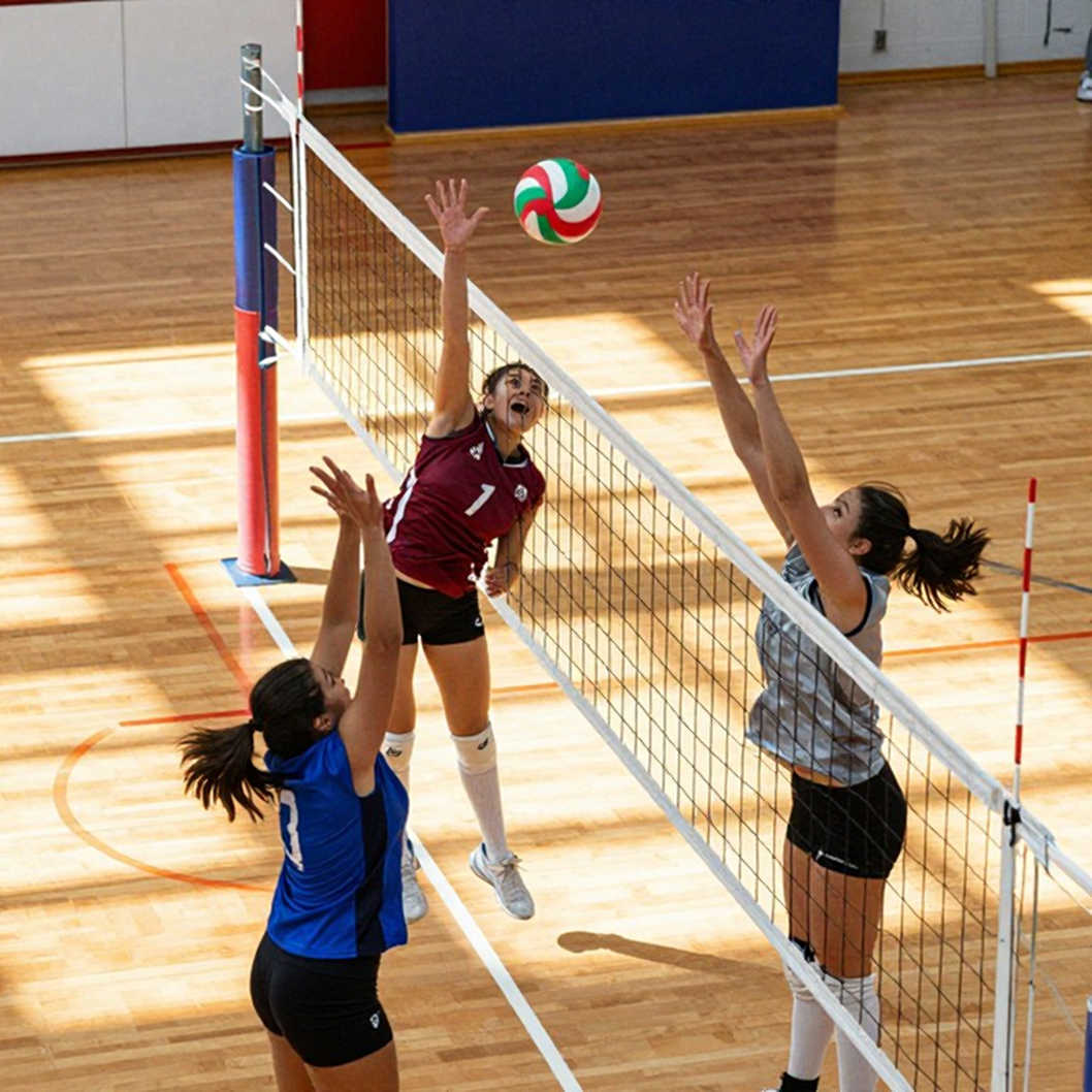 Thái Lan vô địch bóng chuyền nữ châu Á 2026: Cuộc lật đổ được viết bằng những con số còn thiếu Thái Lan vô địch bóng chuyền nữ châu Á 2026: Cuộc lật đổ được viết bằng những con số còn thiếu